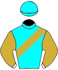Colours for TAB 1