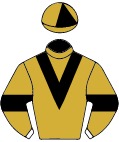 Colours for TAB 10