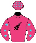 Colours for TAB 13
