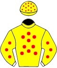Race 2 NAAS Horse Racing Betting & Odds - TAB.com.au